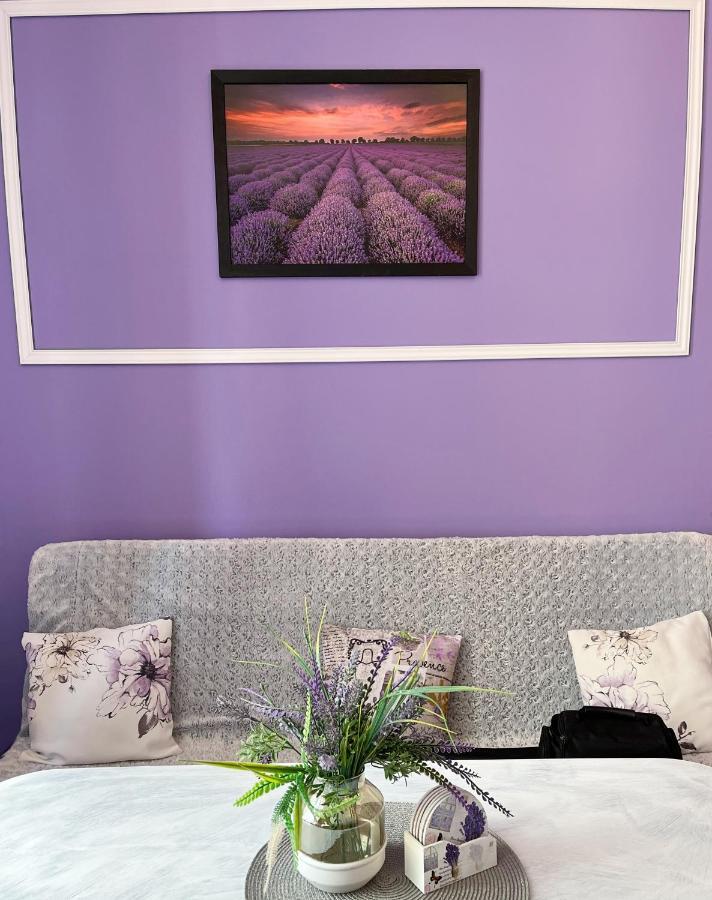 Apartament Lawendowy 바우브자이치 외부 사진